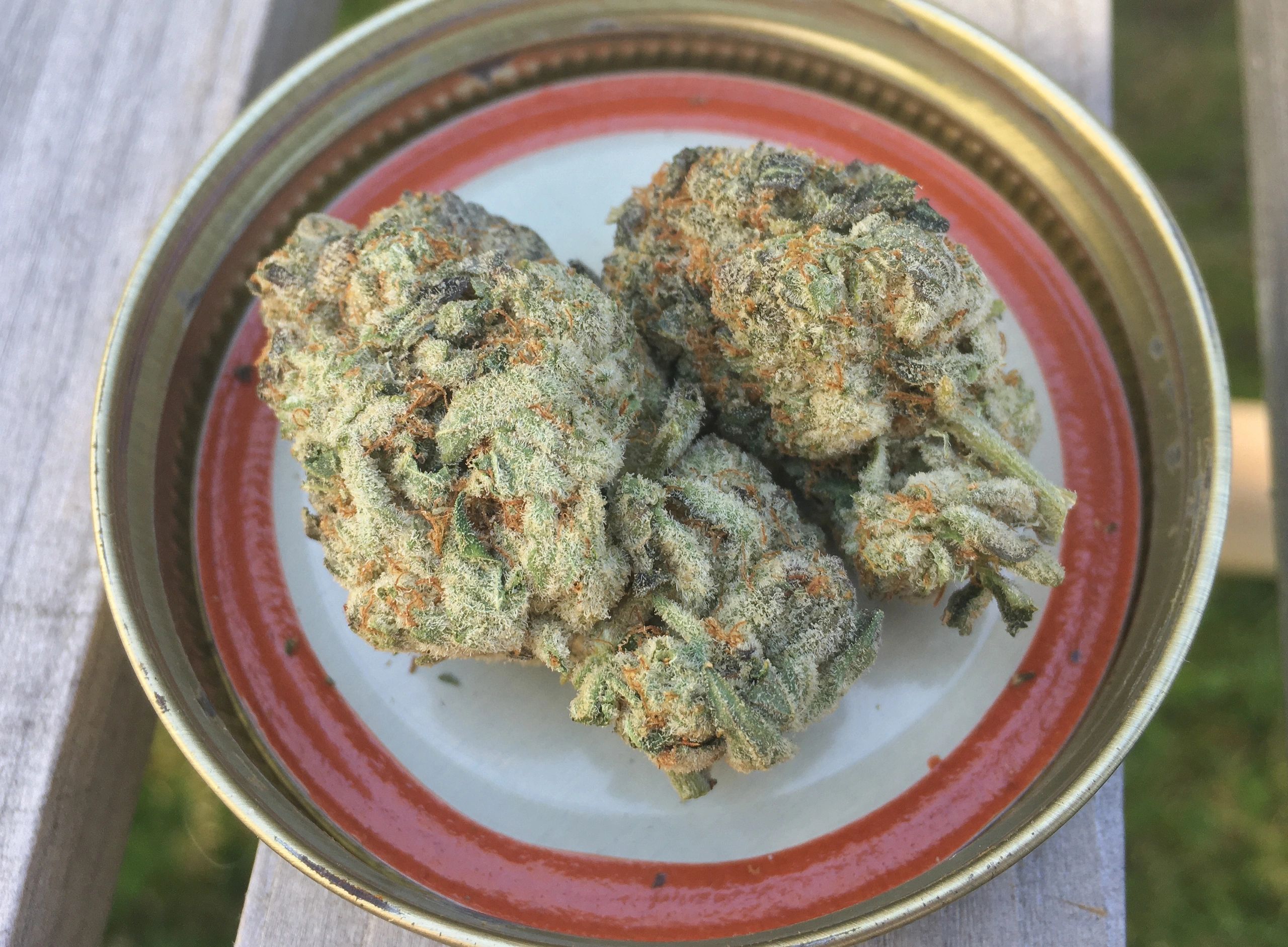 Strawberry Sherbert Chronic farms
